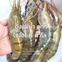 ส่งฟรี!! กุ้ง​แม่น้ำ​ใหญ่​ 8 ตัวโล แพ็ค​ 8 ตัว (1 กิโลกรัม)​