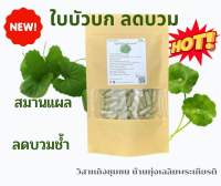 ใบบัวบก ขนาด 50/100 แคป (500mg/1cap.) บำรุงสายตา ลดแผลเป็น [Herbs fin fin]