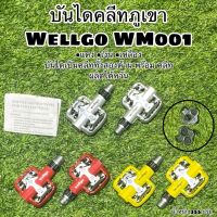 บันไดคลีทภูเขา Wellgo WM001