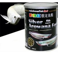 ??Rainbow Silver Arowana อาหารปลาอโรวาน่า ปลามังกรเงิน ปลามังกรเผือก