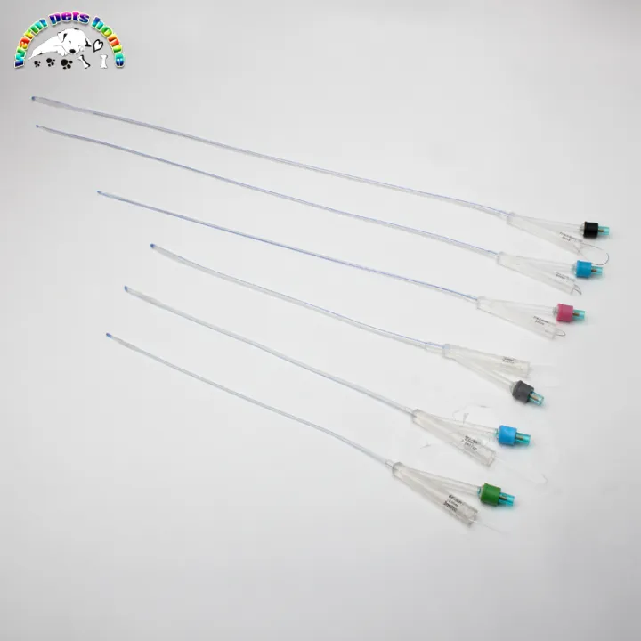 Two Way Foley Dog Catheters 2 Way Foley Silicone Canine Urinary