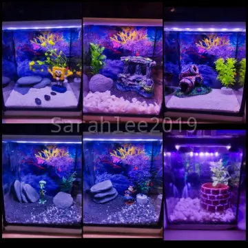 Lazada aquarium store