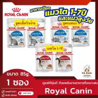 Royal Canin Pouch (1 ซอง) โรยัล คานิน เพาซ์แมว อาหารเปียกแมวโต อายุ 1 ปีขึ้นไป(Pa Ruai)