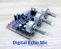 ดิจิตอลไมเอคโค่ Digital Echo Mic