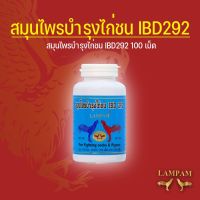 ผลิตภัณฑ์ลำปำ LAMPAM  IBD292 100 เม็ด