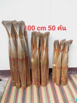 เบ็ดปักไม้ไผ่พร้อมใส่ 100 cm 50 คัน แบบโค้ง