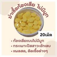 ปรับสมดุลลำไส้ ถ่าย เหลว สำหรับสุนัขและแมว 008