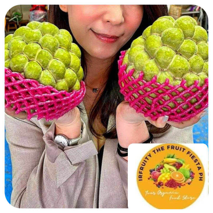 Fresh Sweet Atis Creamy,Taiwan Custard Apple₱5,500 for 1.5kilos (2pcs ...