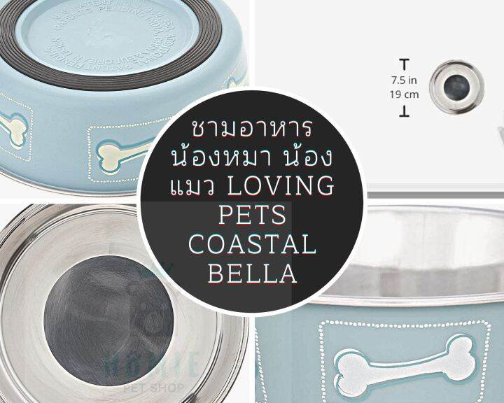 ชามอาหาร-น้องหมา-น้องแมว-loving-pets-coastal-bella-bowl-for-dogs-medium-blue