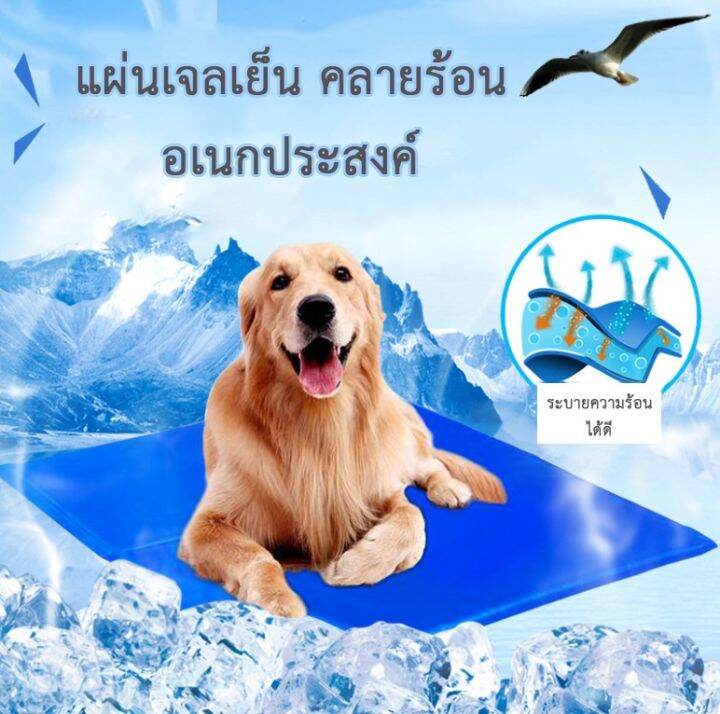 PS104 Pet Cool mat ⭐️ ที่นอนเจลเย็นสำหรับสัตว์เลี้ยง แบบหนา แผ่นเจล