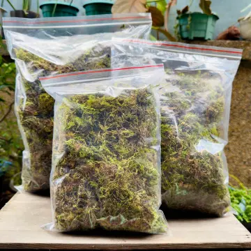 Top Grade A Quality Sphagnum Moss - Best for Orchids and Pet
