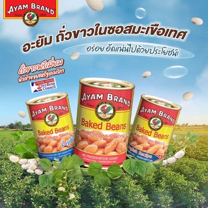 AYAM Baked Beans in Japanese Curry Sauce ถั่วขาวในซอสแกงกะหรี่ สไตล์
