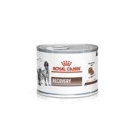 ??Royal Canin Recovery อาหารสำหรับสุนัขและแมวป่วยระยะพักฟื้นหรือหลังผ่าตัด ขนาด 195g??