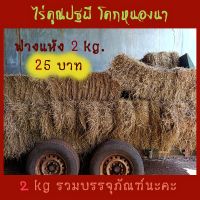 [ไร่คูณปฐพี] ฟางแห้ง 2 kg 25 บาท ฟางข้าว ฟาง อัดก้อน ฟางคลุม