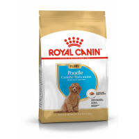 Royal Canin Poodle Junior อาหารลูกสุนัข พันธุ์พุดเดิ้ล อายุต่ำกว่า 10 เดือน 1.5 กิโลกรัม