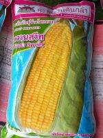 เมล็ดพันธ์ ข้าวโพดหวานสวีท สำหรับปลูก500กรัม120  บาท