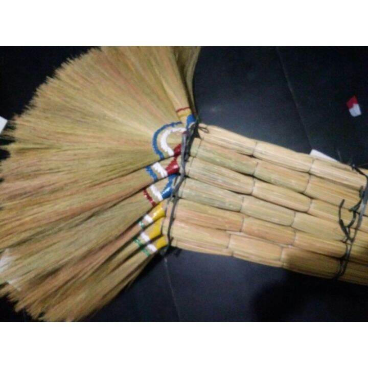 Soft broom/ Tiger grass (Walis tambo) Lazada PH