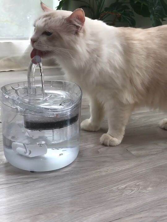Cat Water Fountain Animal Water Dispenser, Square Automatic Kitty Water