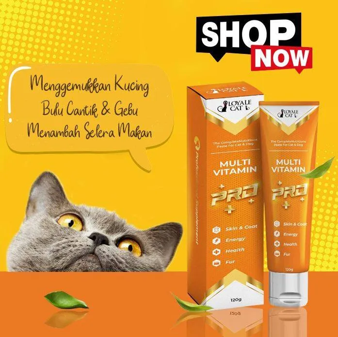 VITAMIN KUCING LOYALE CAT MULTIVITAMIN GEL PASTE PRO VITAMIN GEMUK