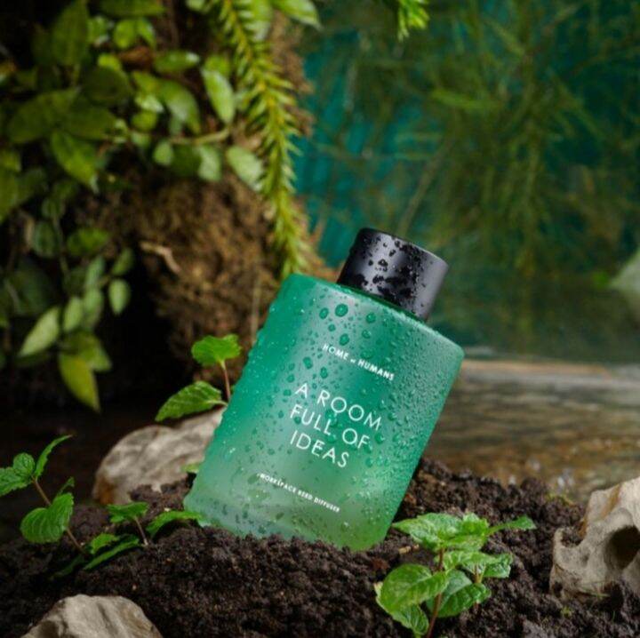 Reed Diffuser Home Of Humans A Room Full Of Ideas (Pengharum Ruangan