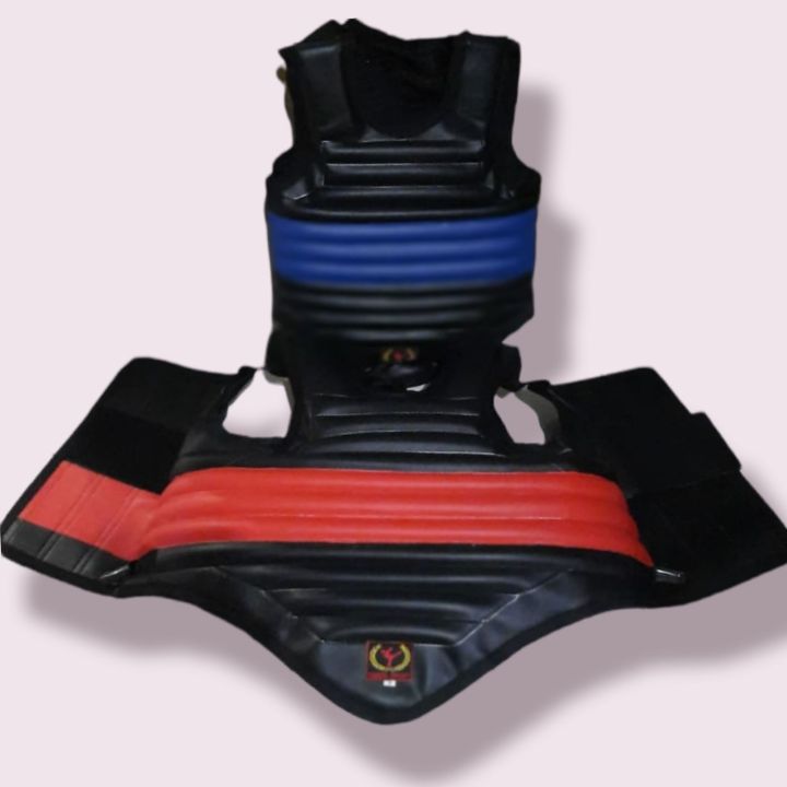 Aturan Baru Body Protector Pencak Silat 2022 Lazada Indonesia