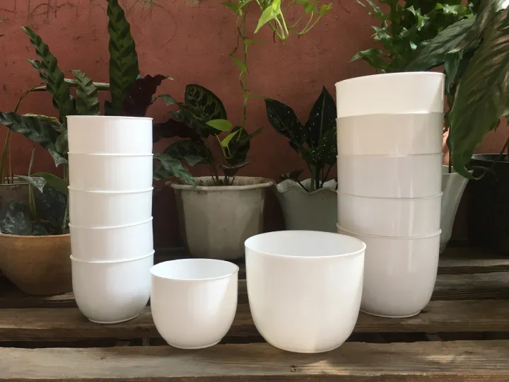 Classy Minimalist Pot for cactus and succulents plastic pot Lazada PH