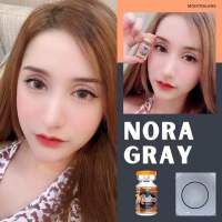 Montralens Nora gray รุ่นเทาขอบตาแป๋ว สวยอมน้ำ55%?