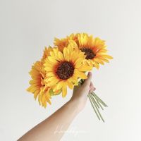 Mini Sunflower ดอกทานตะวันปลอมไซต์มินิ [ลอตใหม่]