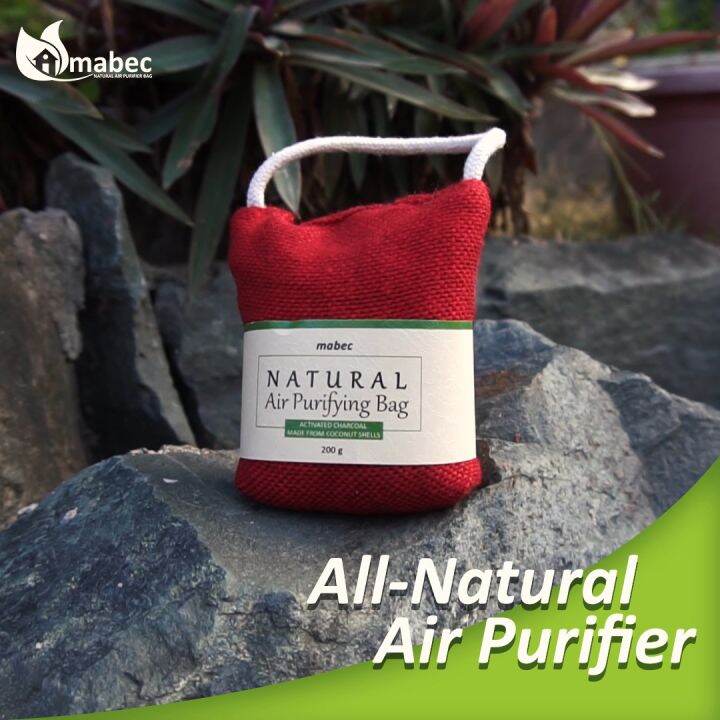 200g MABEC Natural Air Purifying Bag Lazada PH