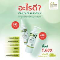 แชมพู บ้านหมอละออง ชุดศีรษะ 2 แพ็กรวม 2 ชิ้น แชมพู 250ml คู่ แฮร์โทนิค 100ml PluKaow เหมาะสำหรับดูแลหนังศรีษะบอบบาง  ลดคัน  ลดผื่น ละสะเก็ดบนศรีษะ