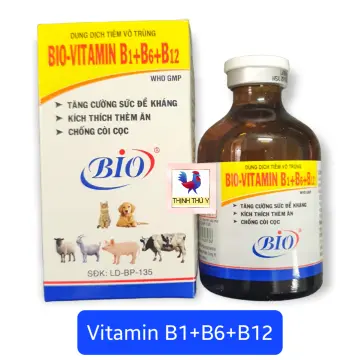 Công dụng và cách sử dụng vitamin b1 b6 b12 cho gà đá đơn giản và hiệu quả