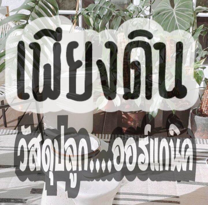 10แถม1-สูตร03-ถูกสุดๆ-ดินก้ามปูหมักมูลไส้เดือน-อนุบาลต้นกล้า-ดินปลูกต้นไม้ดินปลูกไม้ประดับทุกชนิด-มอนสเตอร่า-ฟิโลเดนดรอน-ยางดินเดียด่าง-พลูฉลุ-ไม้ด่าง-เงินไหลมา-กวักมรกต-ไทรใบสัก-อโลคาเซีย-ว่าน-เฟิร์น