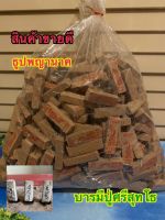 ธูปพญานาคเลขสามตัวชัดไม่หักงอ(500แท่ง)