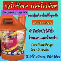 กลูโฟซิเนต-แอมโมเนียม15% ขนาด 4ลิตร ตราเข้แดง