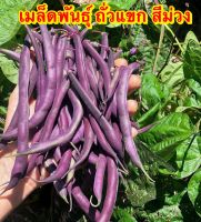 เมล็ดถั่วแขกสีม่วง เมล็ดสีขาวบรรจุ30-40เมล็ด