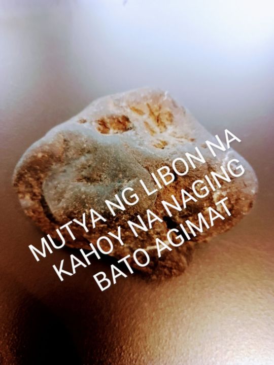 MUTYA NG LIBON NA KAHOY NA NAGING BATO AGIMAT | Lazada PH