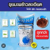 วัสดุเพาะต้นอ่อนcoco peat blue (substrate) 80L เป็นขุยมะพร้าวเนื้อหยาบ