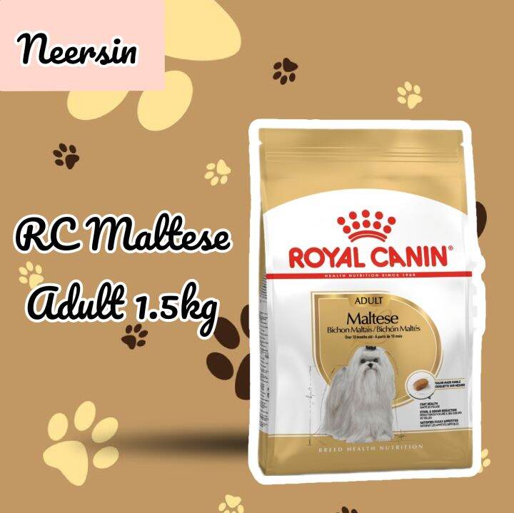 Royal Canin Maltese Adult 1.5kg Lazada PH
