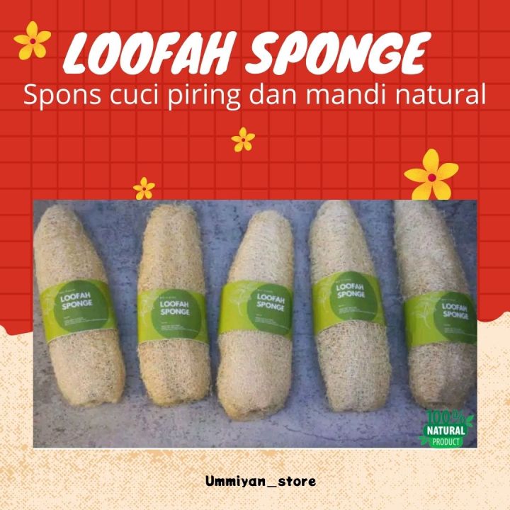 Loofah Sponge Spons Cuci Piring Spons Mandi Lazada Indonesia