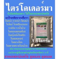 ไตรโคเดอร์มา 1 กิโลกรัม กำจัดเชื้อรา แก้โรคเน่า โคนเน่า ใบไหม้ ใบด่าง ใบจุด ใบเหลืองหลุดร่วง แคงเกอร์ แอนแทรคโนส ยางไหล