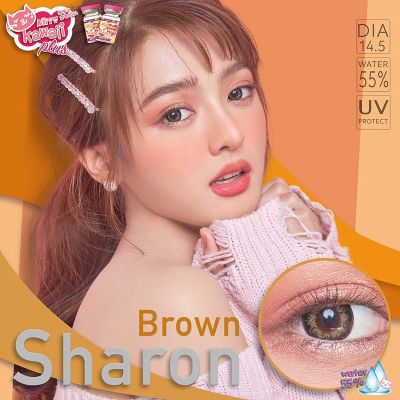 Kitty kawaii Sharon brown (dia14.5) เลนส์บิ๊ก