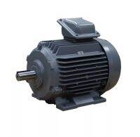 มอเตอร์ ฮิตาชิ 3 เฟส 7.5 แรงม้า 7.5 HP HITACHI รุ่น 7.5 TFO-K 380V