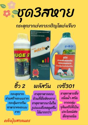 ชุด3สหายกระตุกรากเร่งการเจริญเติบโตเร่งเขียว (ขนาด1ลิตร)(ส่งเร็วทันใจสินค้าแท้100%)