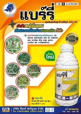 💥แบร์รี่💥  🌿
🌿กำจัดหญ้าตีนนก  หญ้าตีนติด 🌿หญ้าปากควาย  หญ้านกสีชมพู  หญ้าหวาย 👍ฉีดทับพริกได้เลย 👍ปลอดภัย 👍พริกโตไว 👉