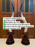 ฐานตั้ง ประดับโชว์ เสริมบรามี ประกอบด้วยเขาวัวแท้ สายพันธุ์ Texas Longhorn ฐานไม้จริง ใช้ตั้งประดับบ้าน ประดับโต๊ะหมู่บูชา ตกแต่งเพื่อเสริมความขลังให้แก่ผู้ที่ได้ครอบครอง