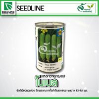 แตงกวา “ โนเบล สตาร์ ?? ตรา seedline ขนาด100กรัม