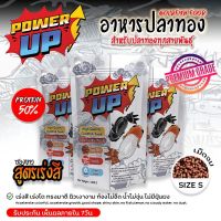 อาหารปลาทอง : PowerUp⚡สูตรใหม่ เร่งสีX3 โปรตีน 50% ขนาด1000กรัม