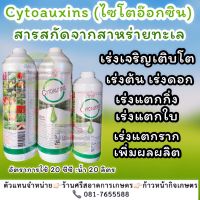 ไซโตอ๊อกซิน (Cytoauxins) สาหร่ายทะเลสกัดสดจากแอฟริกาใต้ ช่วยเปิดตาดอก กระตุ้นการเจริญเติบโต