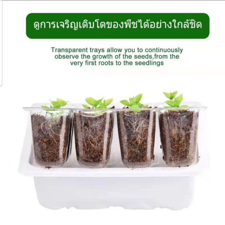 ซื้อ-2-กล่อง-แถมฟรี-เมล็ดยิมโนด่าง-กล่องเพาะเมล็ด-กล่องเพาะเมล็ดจิ๋ว-ชุดเพาะเมล็ด-ถาดเพาะเมล็ด-คุมความชื้น-ต้นอ่อน-แคดตัส-กระบองเพชร