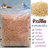 ข้าวโอ๊ต ข้าวโอ็ต  สำหรับนก แฮมเตอร์ กระรอก 1กิโล